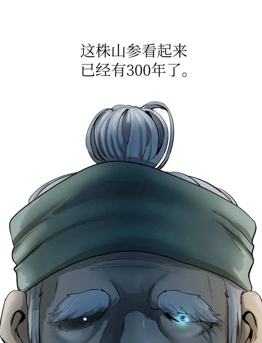 03 名贵山参 第42页