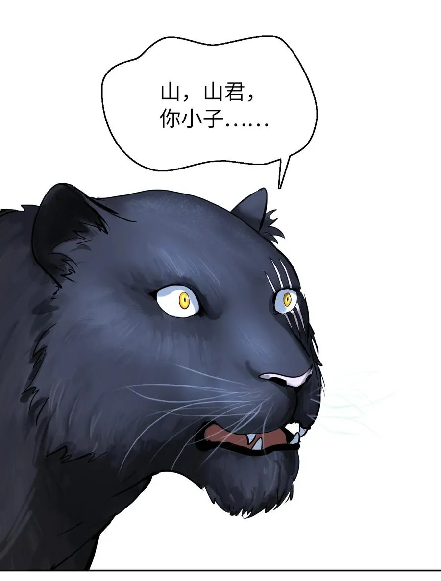 13 与虎同行 第47页
