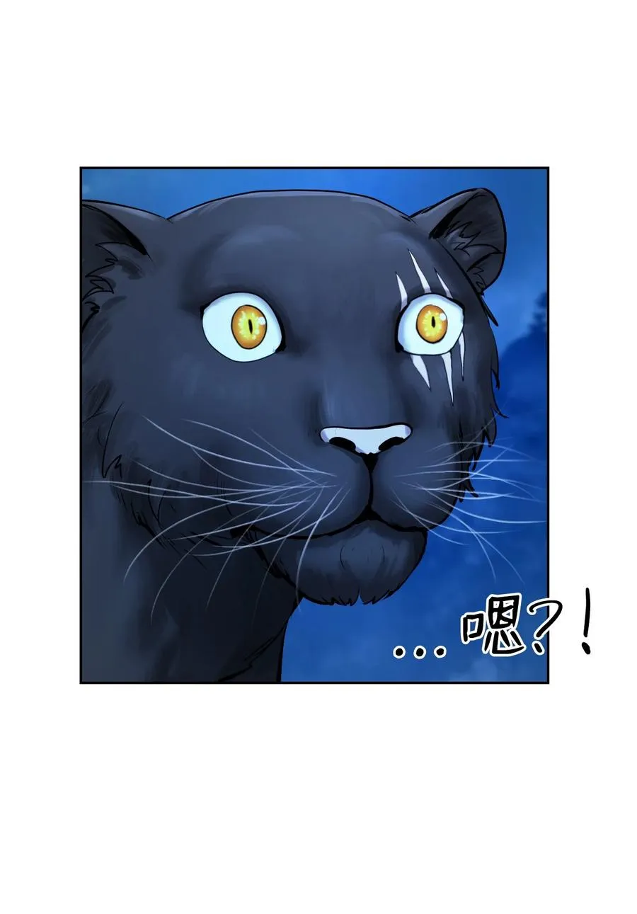 13 与虎同行 第51页