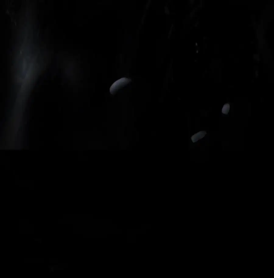 126 天时霹劫 第116页