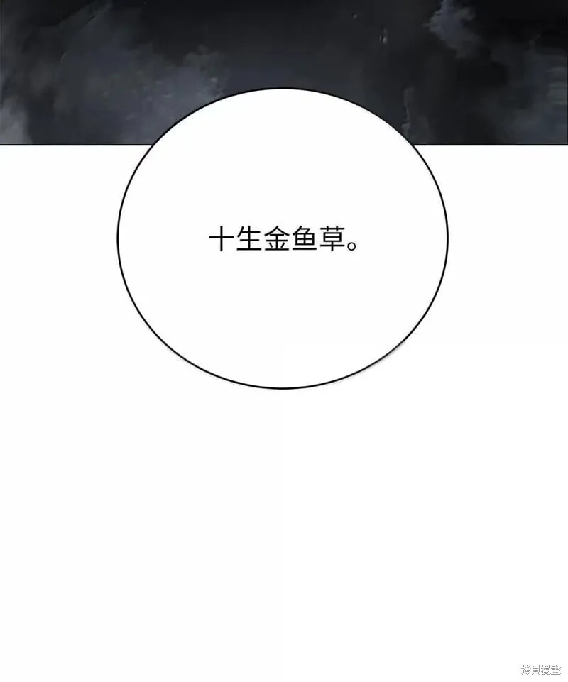 第190话 第13页
