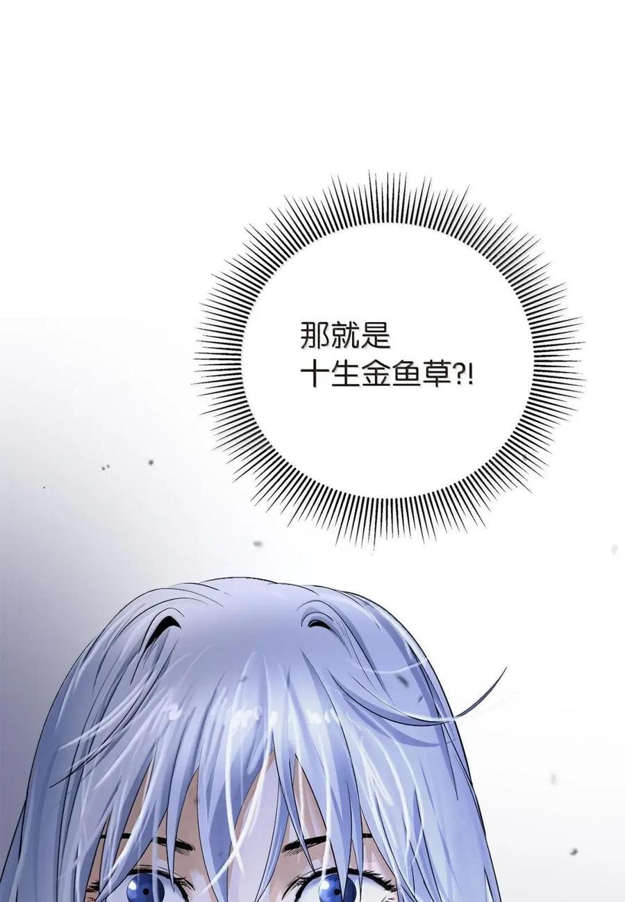 195 机缘之中 第3页