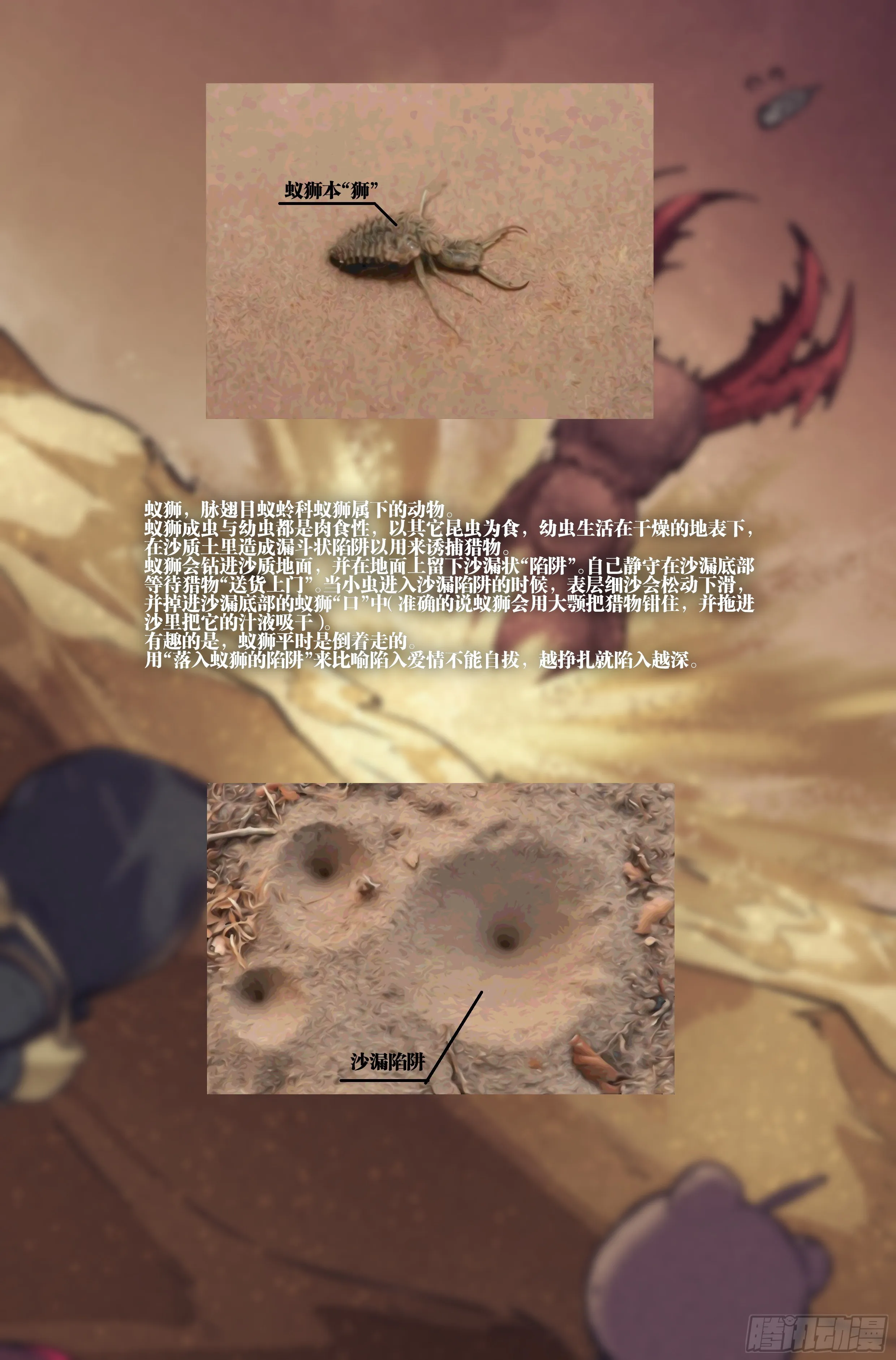 22.沙城贼影之章·蚁狮的陷阱 第20页