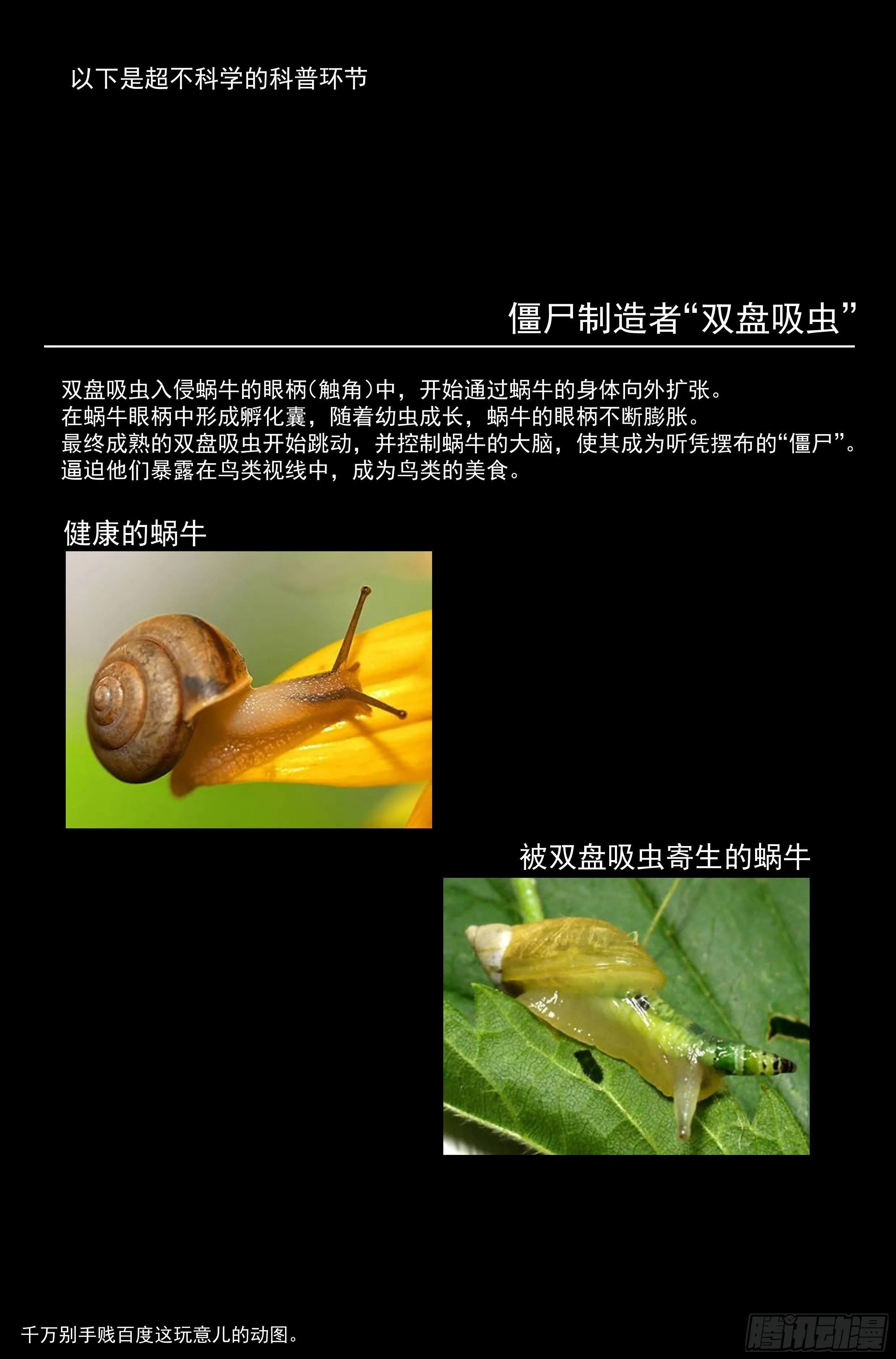 50.勇气默示录（上篇） 第16页