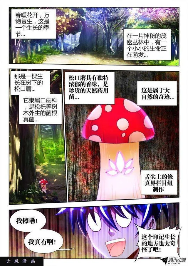 112、舌尖上的修真界 第4页