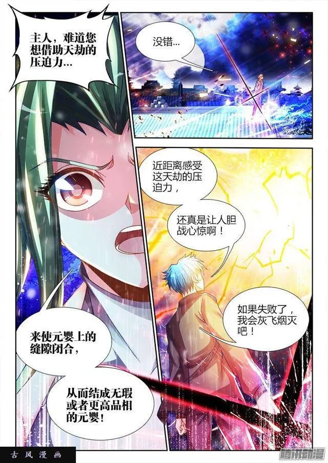220、元婴品相 第7页
