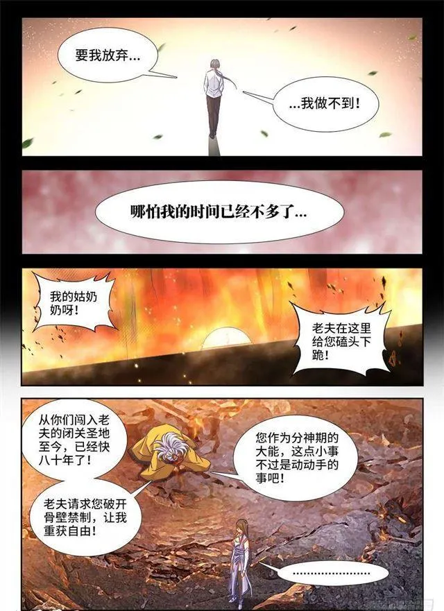 390、金光 第5页