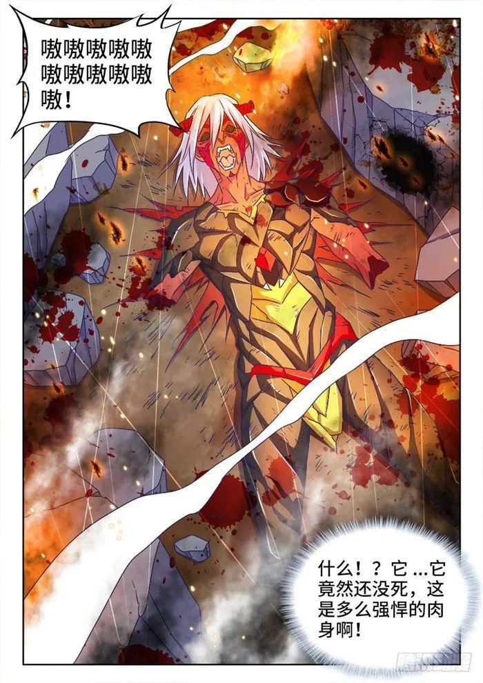 438、精毛 第5页