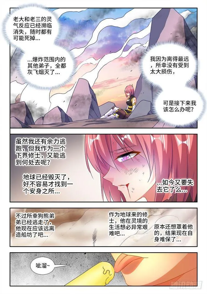 438、精毛 第11页