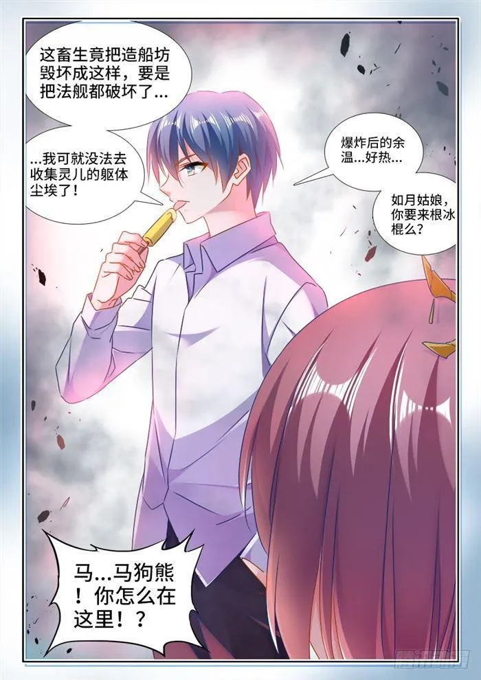 438、精毛 第12页