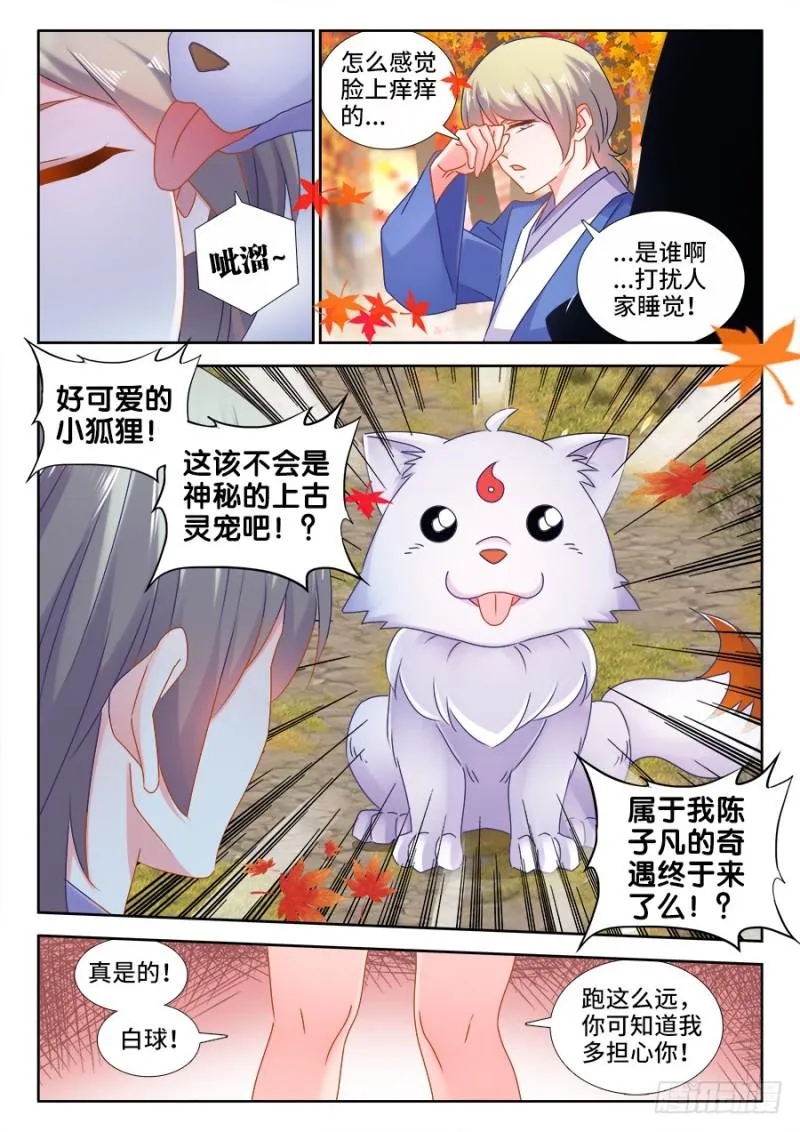 523、林芷 第8页