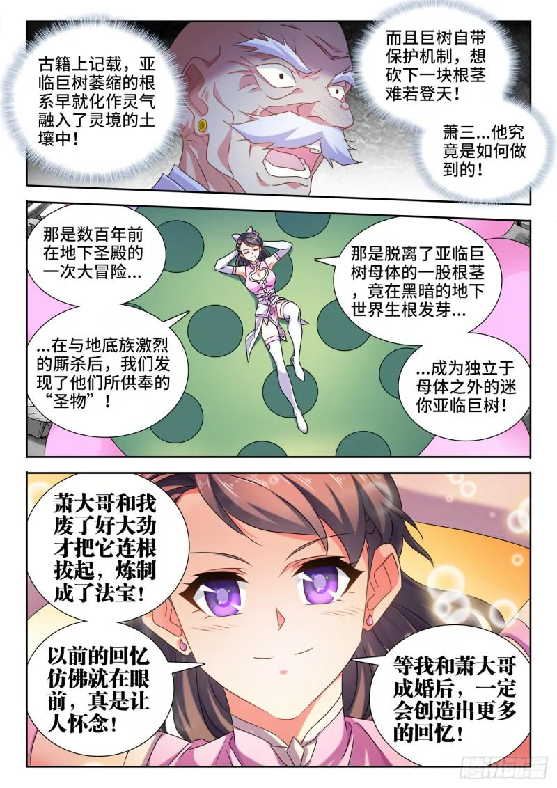 543、乌木 第5页