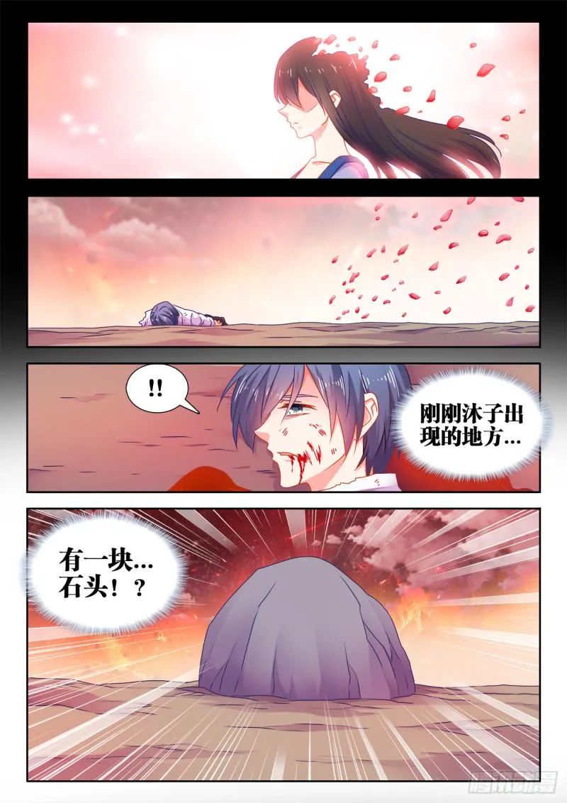 560、石头 第5页