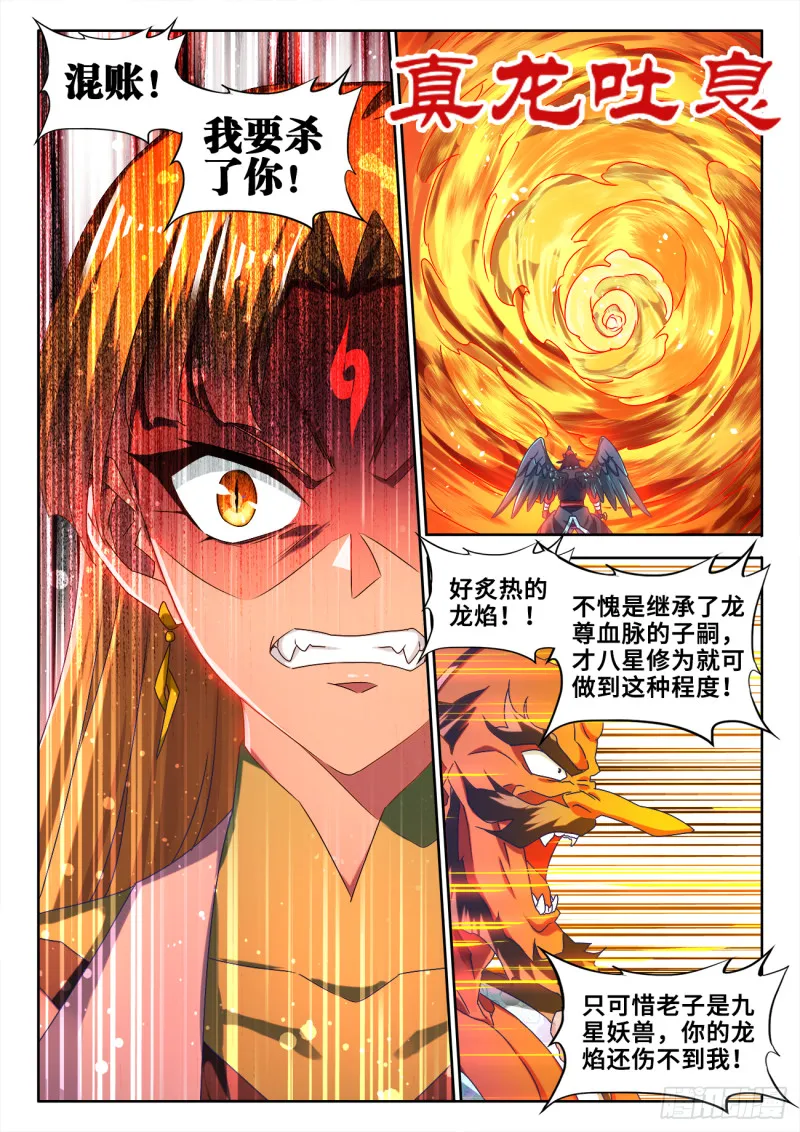 608、飞盘 第7页