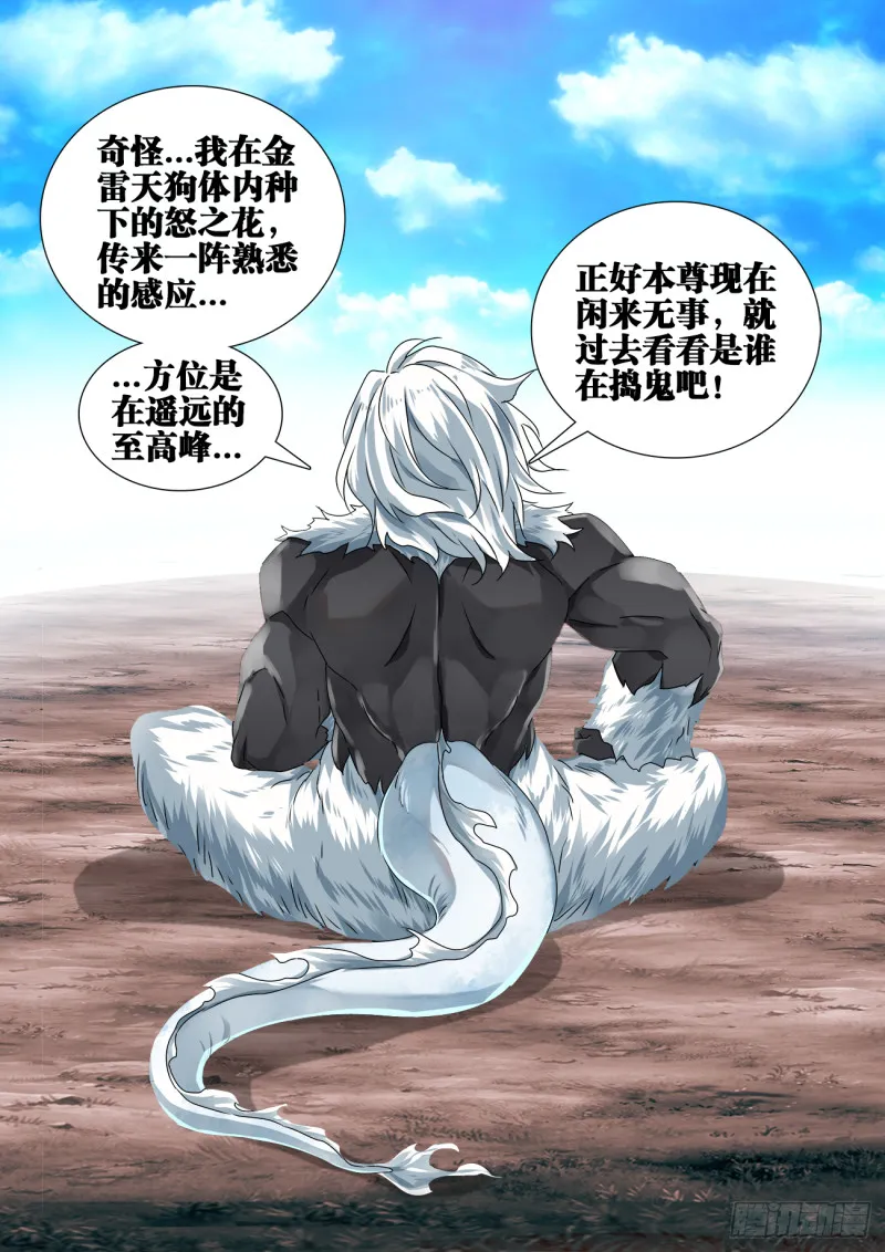 608、飞盘 第12页