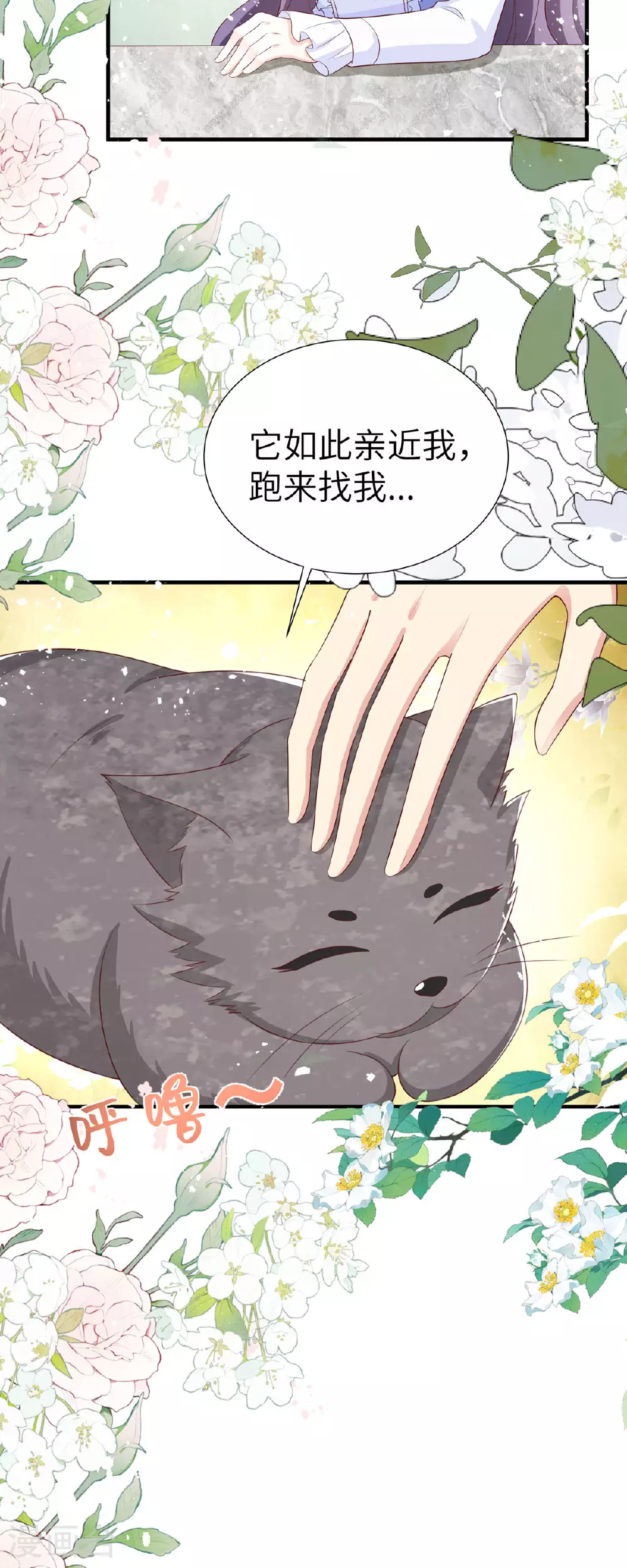 第16话 猫猫连人心 第14页