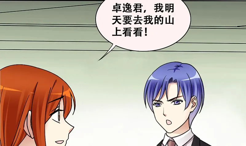 第308话 神秘财团2 第29页