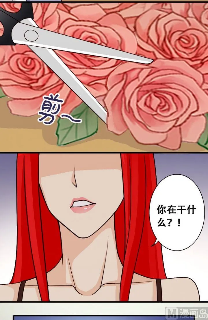 第22话 玫瑰被毁（二） 第11页