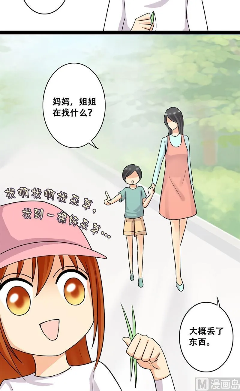 第51话植物精华 1 第4页