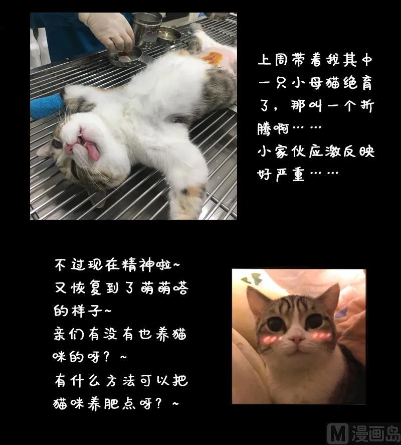 第129话 影帝生气 2 第42页