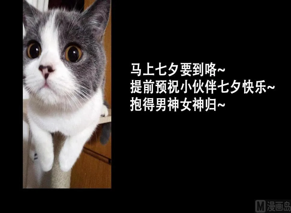 第219话 米圆动摇 3 第42页