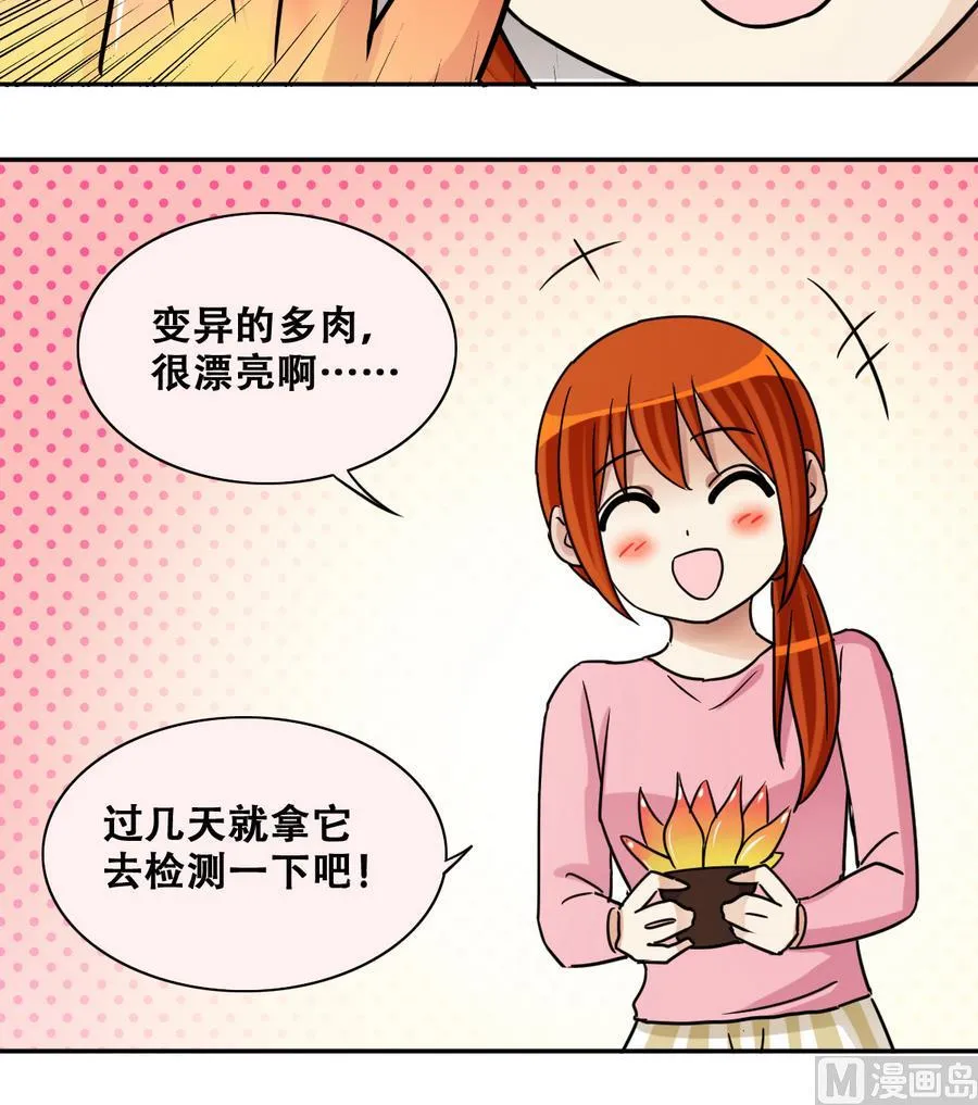 第252话 变异多肉3 第33页