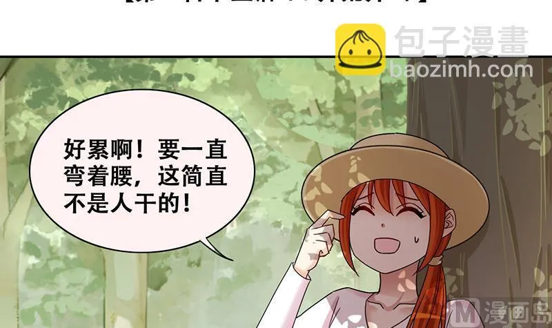 第284话 开荒开山2 第3页