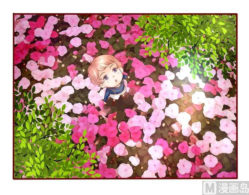 第35话 淀园花谷 第5页