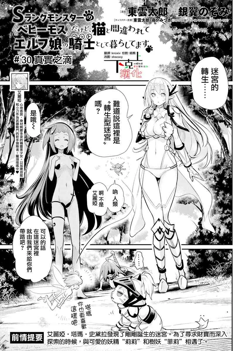 30话 第1页