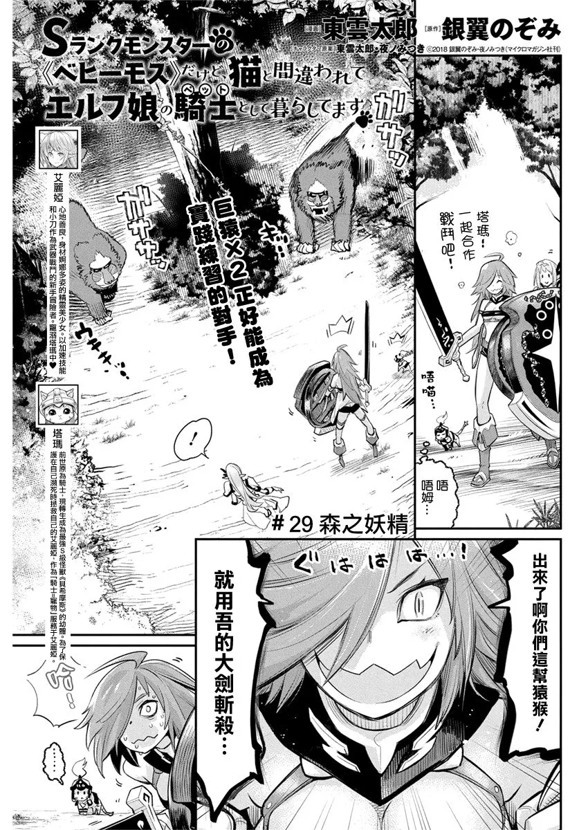 29话 第1页