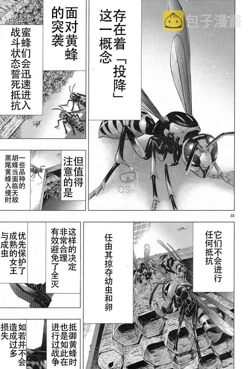 第32话 第31页