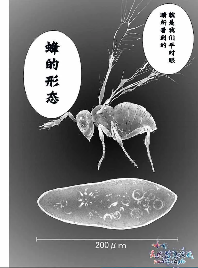 第2话 第4页