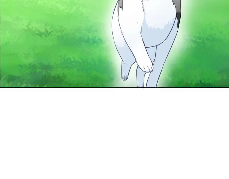 第28话 我被狗遛了！？ 第40页