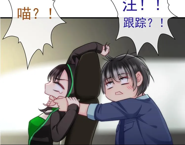 第29话 跟踪 第80页