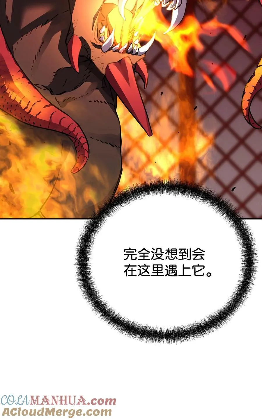 79 巴尔洛科 第13页
