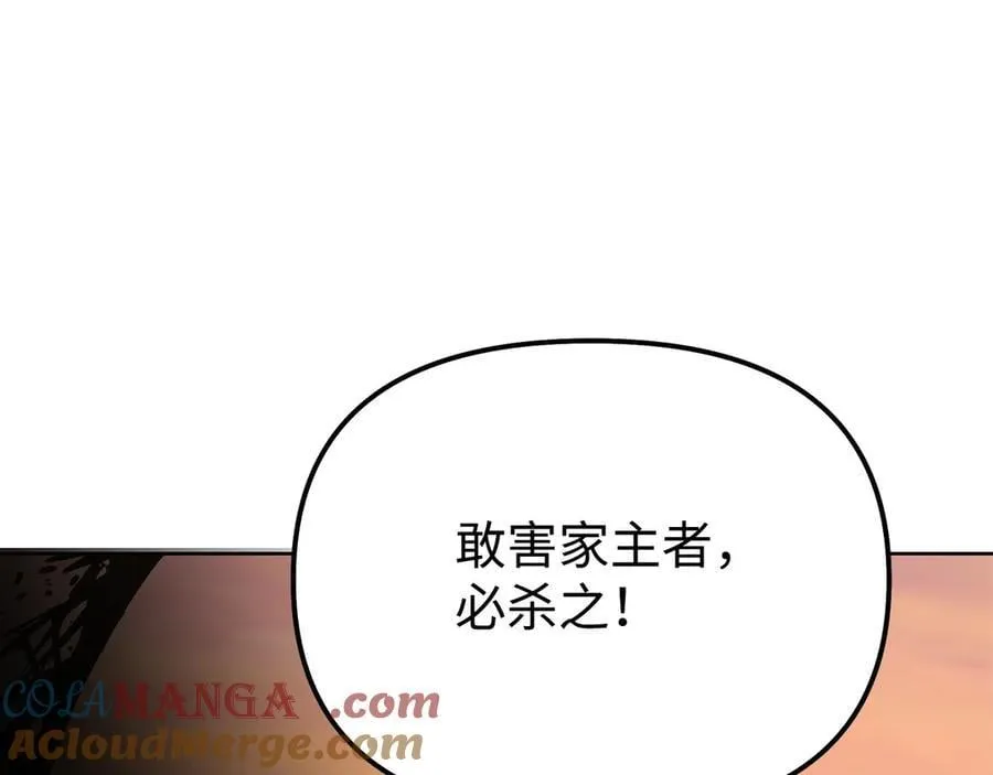 159 强大的增幅效果 第13页