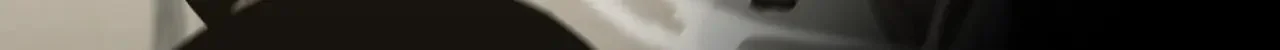 196 卑鄙手段 第74页