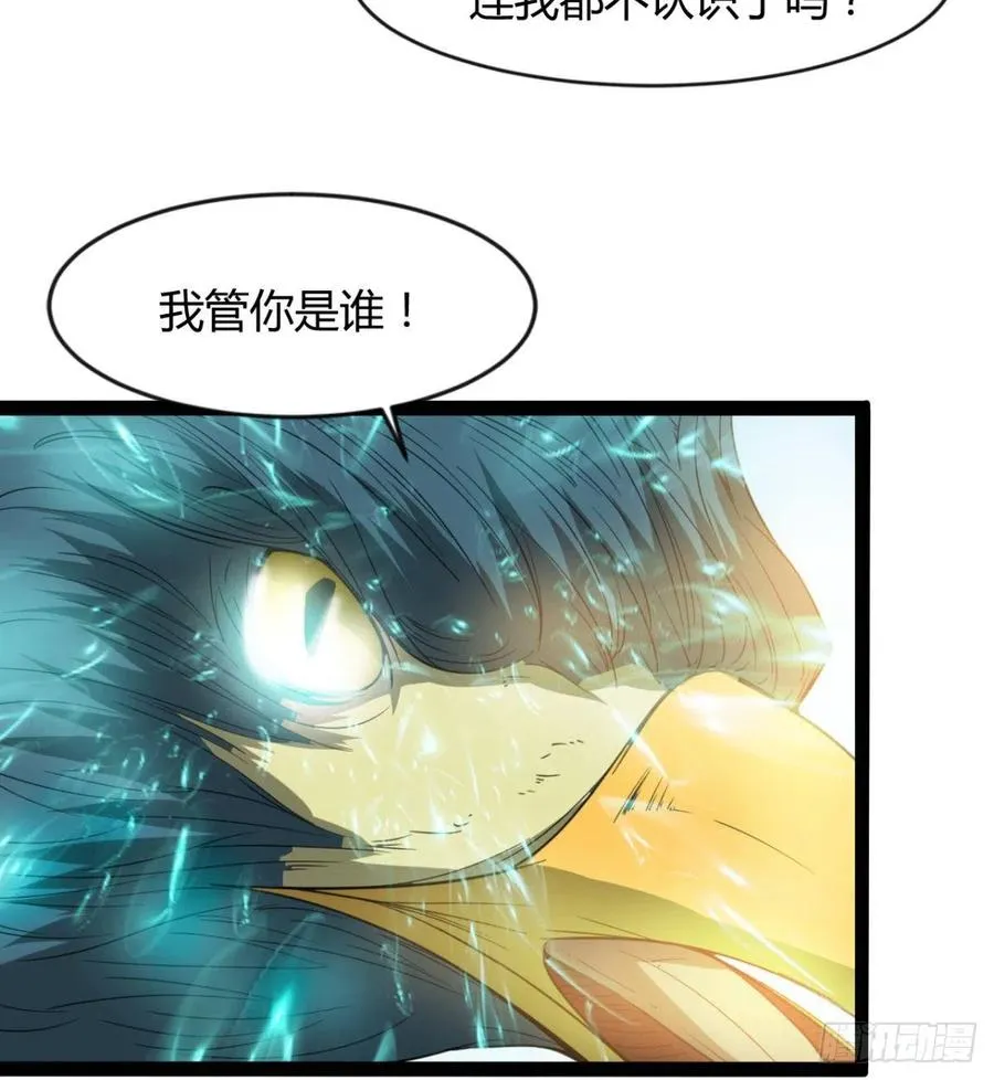 雕儿不怕，我不是过儿~ 第54页