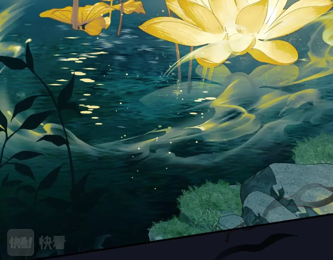 第88话 凤凰降世 第13页