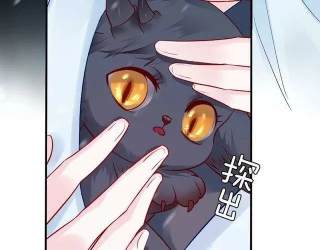 第20话 银龙毒计 第113页