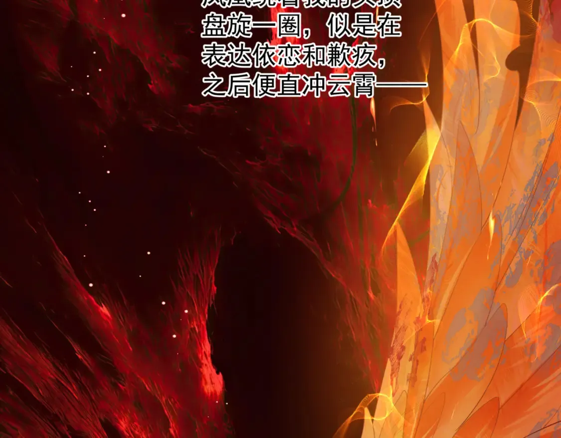 第82话 凤凰涅槃 第117页