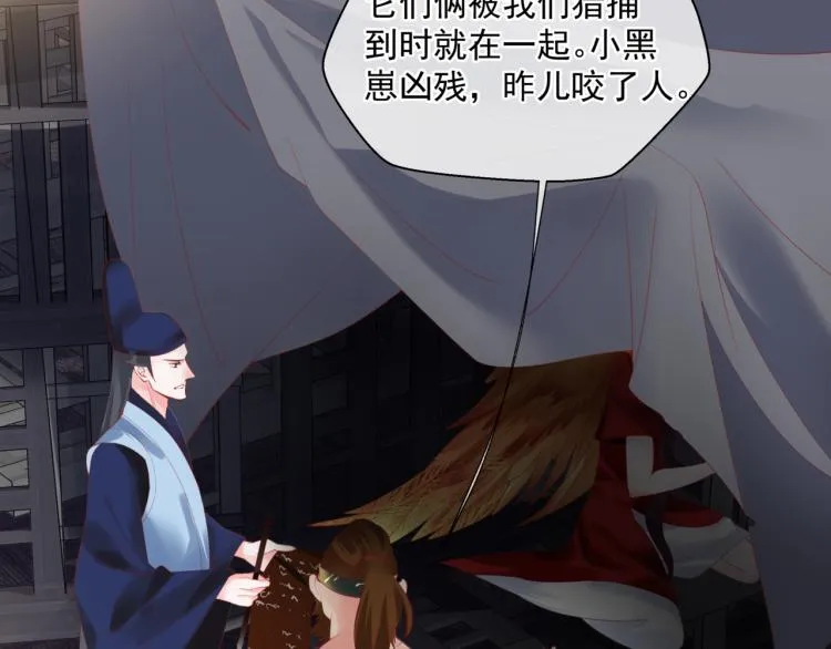 第15话 地下拍卖场 第7页