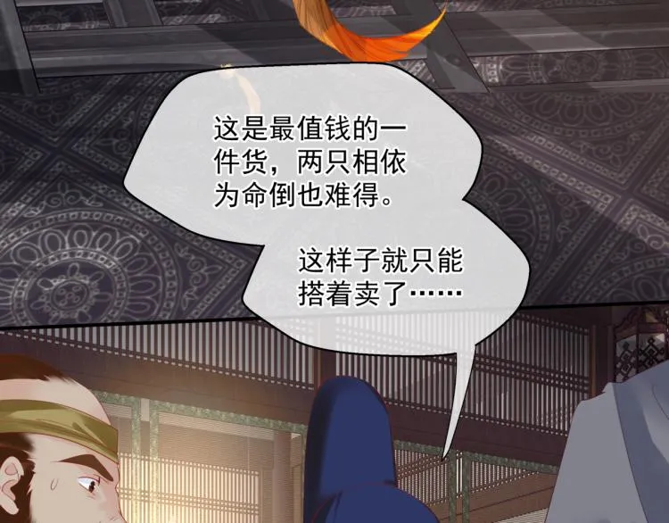 第15话 地下拍卖场 第12页