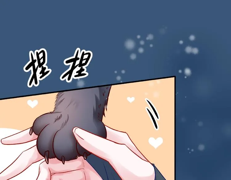 第21话 我才不想做萌宠 第70页