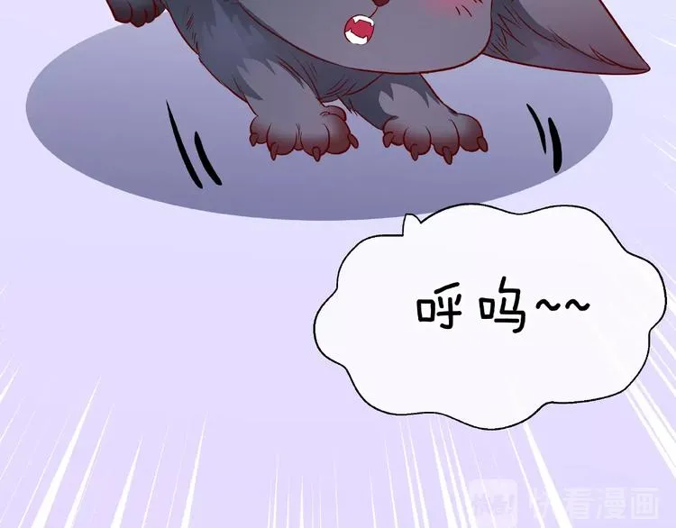 第21话 我才不想做萌宠 第97页