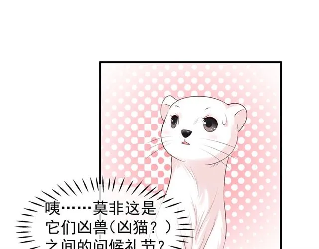 第40话 两只凶兽 第74页