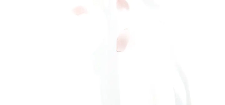 第54话 心悦你 第147页
