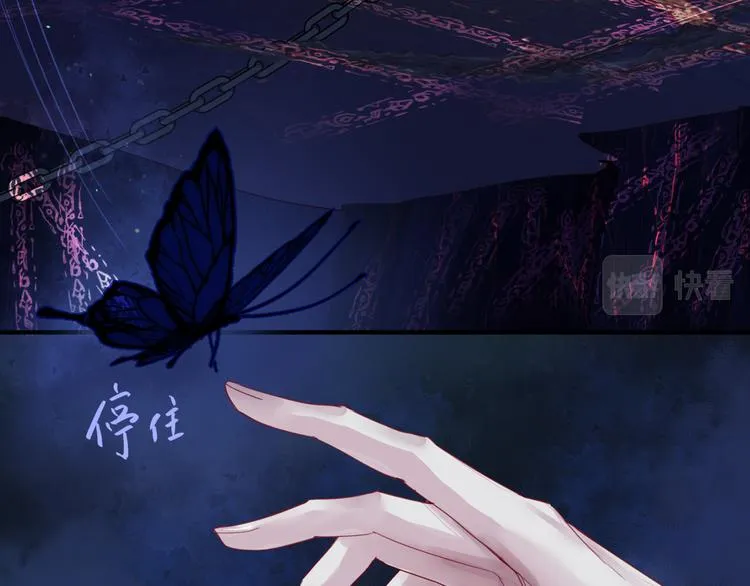 第4话 天降小凤凰 第7页