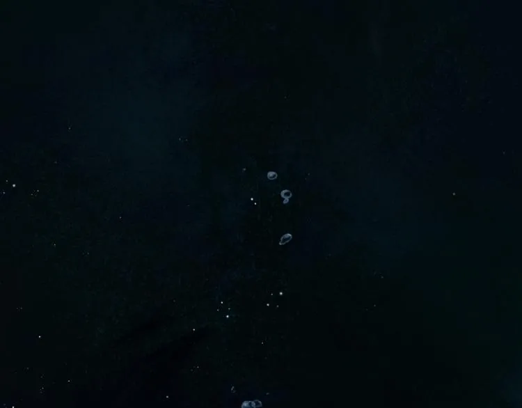 第13话 御物化生秘术 第40页