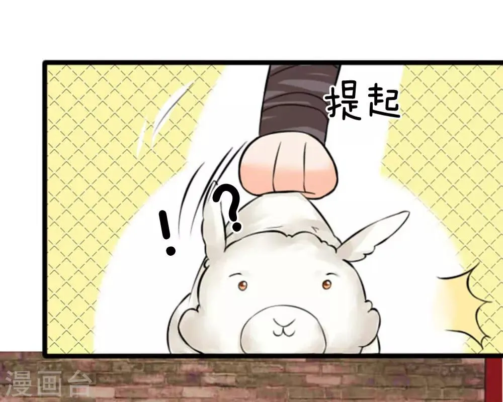 第23话 这两团软软的肉是什么鬼 第12页